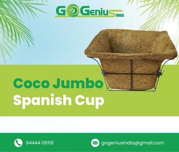 Coco Jumbo Spanish Cup