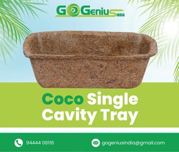 Coco Single Cavity Tray
