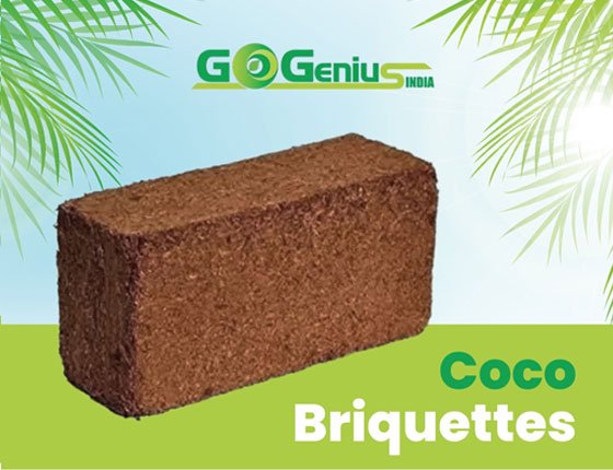 cocopeat-bricks